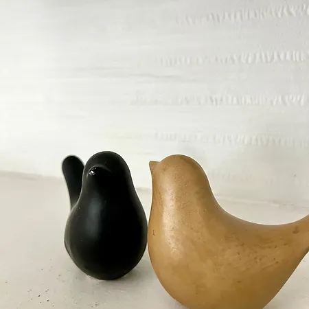 Daire Le Vasselot, Centre Rennes